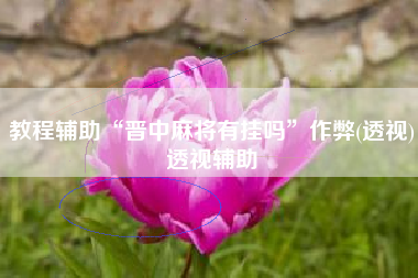 教程辅助“晋中麻将有挂吗”作弊(透视)透视辅助