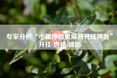 专家分析“小程序哈灵麻将开挂神器	”开挂(透视)辅助