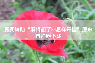 真实辅助“麻将胡了hd怎样开挂	”原来有神器下载