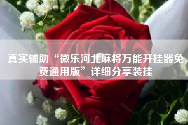 真实辅助“微乐河北麻将万能开挂器免费通用版”详细分享装挂