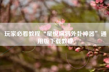 玩家必看教程“星悦麻将外卦神器”通用版下载教程