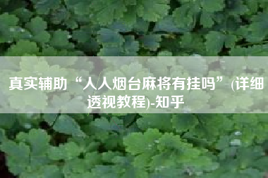 真实辅助“人人烟台麻将有挂吗”(详细透视教程)-知乎