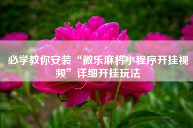 必学教你安装“微乐麻将小程序开挂视频	”详细开挂玩法