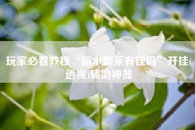 玩家必看教程“丽水都莱有挂吗”开挂(透视)辅助神器