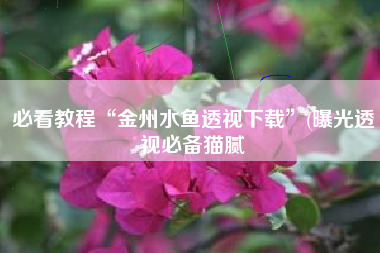 必看教程“金州水鱼透视下载”(曝光透视必备猫腻