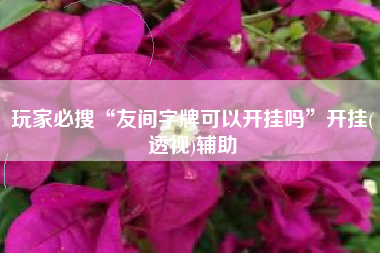 玩家必搜“友间字牌可以开挂吗”开挂(透视)辅助