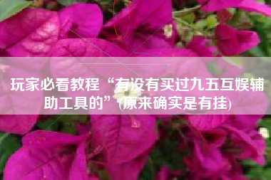 玩家必看教程“有没有买过九五互娱辅助工具的”(原来确实是有挂)