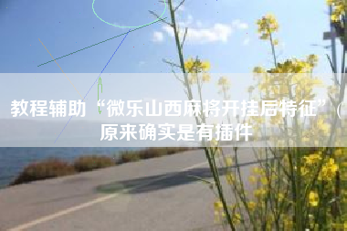 教程辅助“微乐山西麻将开挂后特征”(原来确实是有插件