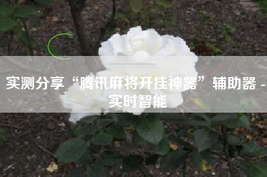 实测分享“腾讯麻将开挂神器”辅助器 - 实时智能