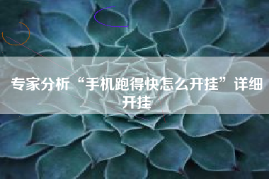 专家分析“手机跑得快怎么开挂”详细开挂