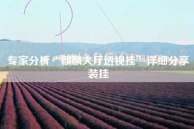 专家分析“麒麟大厅透视挂	”详细分享装挂