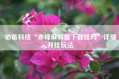 必备科技“赤峰麻将能下载挂吗”详细开挂玩法