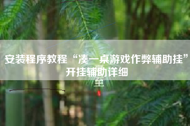 安装程序教程“凑一桌游戏作弊辅助挂”开挂辅助详细