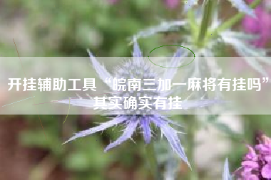 开挂辅助工具“皖南三加一麻将有挂吗	”其实确实有挂