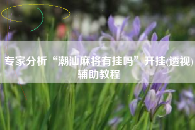 专家分析“潮汕麻将有挂吗”开挂(透视)辅助教程