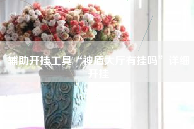 辅助开挂工具“神盾大厅有挂吗	”详细开挂