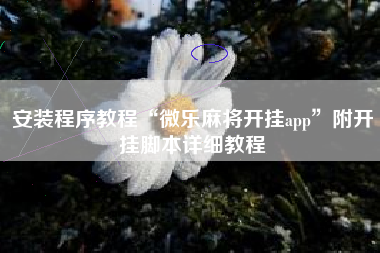 安装程序教程“微乐麻将开挂app”附开挂脚本详细教程