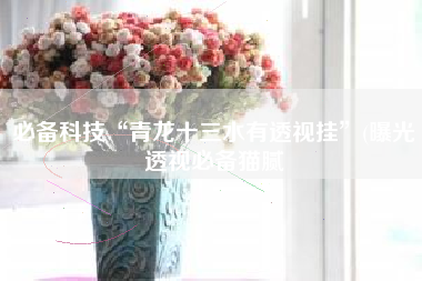 必备科技“青龙十三水有透视挂”(曝光透视必备猫腻