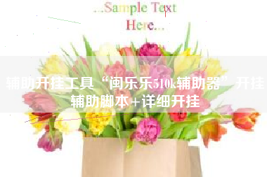 辅助开挂工具“闽乐乐510k辅助器”开挂辅助脚本+详细开挂