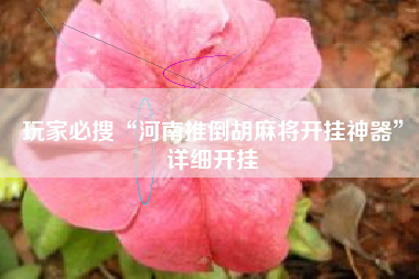 玩家必搜“河南推倒胡麻将开挂神器	”详细开挂