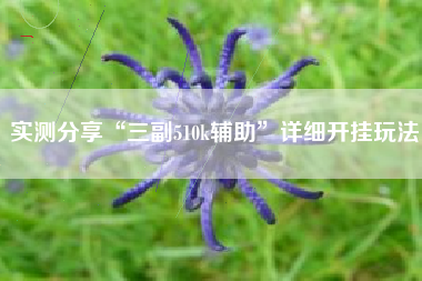 实测分享“三副510k辅助”详细开挂玩法