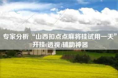 专家分析“山西扣点点麻将挂试用一天”开挂(透视)辅助神器