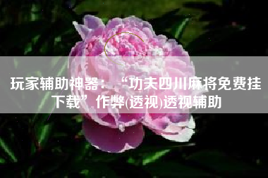 玩家辅助神器：“功夫四川麻将免费挂下载”作弊(透视)透视辅助