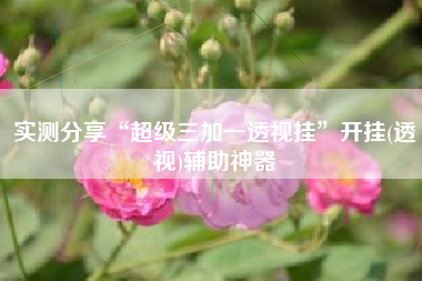 实测分享“超级三加一透视挂”开挂(透视)辅助神器