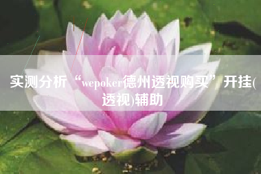 实测分析“wepoker德州透视购买”开挂(透视)辅助