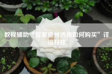 教程辅助“智星德州透视如何购买	”详细开挂