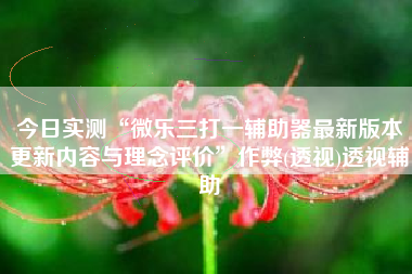 今日实测“微乐三打一辅助器最新版本更新内容与理念评价”作弊(透视)透视辅助