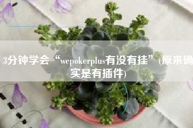 3分钟学会“wepokerplus有没有挂”(原来确实是有插件)
