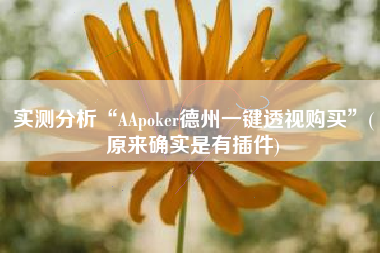 实测分析“AApoker德州一键透视购买	”(原来确实是有插件)