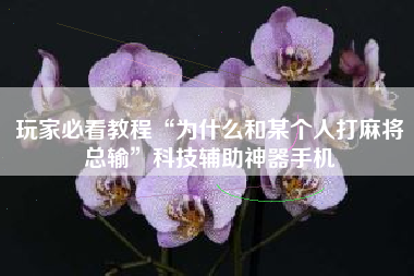 玩家必看教程“为什么和某个人打麻将总输”科技辅助神器手机