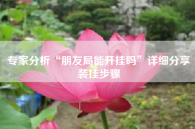 专家分析“朋友局能开挂吗”详细分享装挂步骤