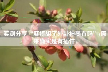 实测分享“麻将胡了外卦神器有吗	”(原来确实是有插件)