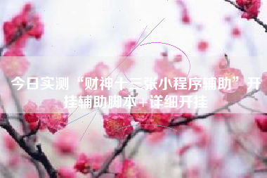 今日实测“财神十三张小程序辅助”开挂辅助脚本+详细开挂