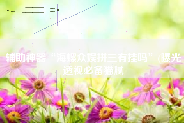 辅助神器“海螺众娱拼三有挂吗	”(曝光透视必备猫腻