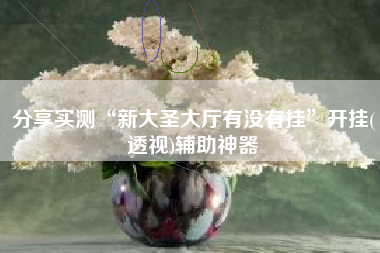 分享实测“新大圣大厅有没有挂”开挂(透视)辅助神器