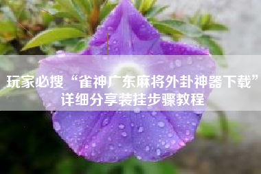 玩家必搜“雀神广东麻将外卦神器下载”详细分享装挂步骤教程