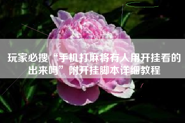 玩家必搜“手机打麻将有人用开挂看的出来吗”附开挂脚本详细教程