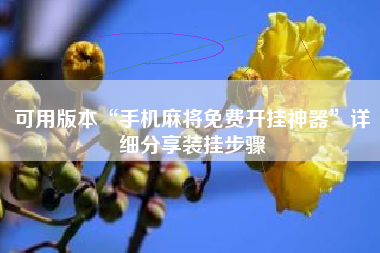 可用版本“手机麻将免费开挂神器	”详细分享装挂步骤