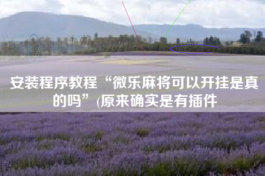 安装程序教程“微乐麻将可以开挂是真的吗”(原来确实是有插件