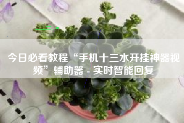 今日必看教程“手机十三水开挂神器视频”辅助器 - 实时智能回复