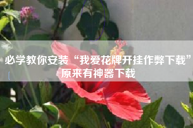 必学教你安装“我爱花牌开挂作弊下载”原来有神器下载