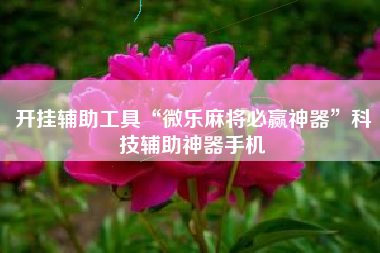 开挂辅助工具“微乐麻将必赢神器	”科技辅助神器手机