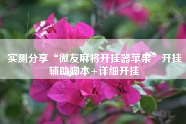 实测分享“微友麻将开挂器苹果”开挂辅助脚本+详细开挂