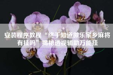 安装程序教程“终于知道微乐家乡麻将有挂吗”揭秘透视辅助万能挂