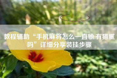 教程辅助“手机麻将怎么一直输,有猫腻吗”详细分享装挂步骤