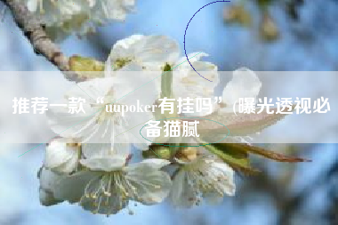 推荐一款“uupoker有挂吗”(曝光透视必备猫腻